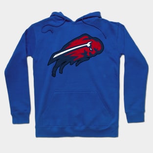 Bills The Buffalo Fanart Hoodie